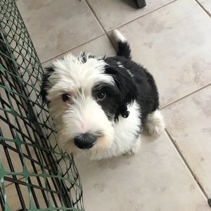 Meet your Posher, Suzanne